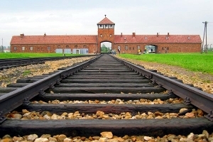 Lessons From Auschwitz Icon