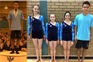 Gymnastics Success Icon