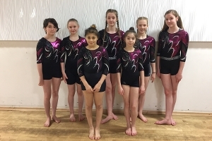 Gymnastics Competition